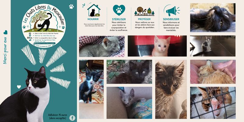 Association Les chats libres du Micocoulier